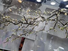 -富侨养生(九亭店)