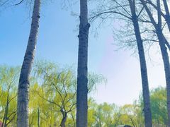 -燕郊植物园
