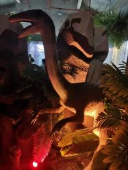 点击看大图 -恐龙探索乐园(磁器口店)