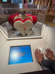 -北京科学中心儿童乐园