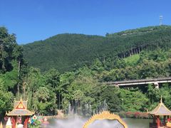 -西双版纳原始森林公园