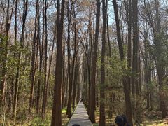 -同里国家湿地公园