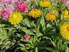 -上海交通大学(闵行校区)