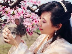 -樂桃源奉贤黄桃种植采摘基地