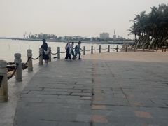 -中澳友谊花园
