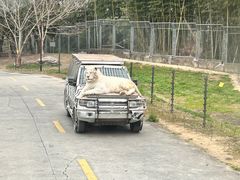 -上海野生动物园