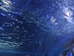 -常州海昌海洋探索馆
