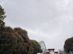 -南山植物园