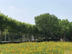 -大宁公园