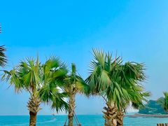 -本来不该有·鲜果咖啡(大梅沙店)