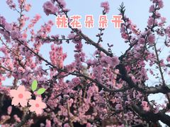 -元大都城垣遗址公园