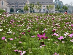 -中国天府农业博览园