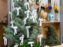 -深圳湾万象城(南山店)