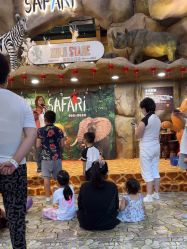 -卡通尼·Safari非洲探索乐园·生日会(金桥国际商业广场店)