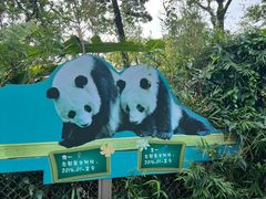 -广州动物园