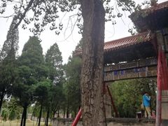 -中岳庙