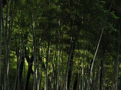 -温州永嘉书院