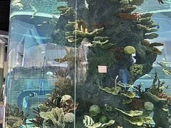 -福州罗源湾海洋世界旅游区