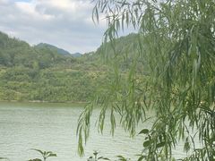 -后柳水乡