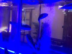 -桥岚·巷子鲜河豚鱼(专门店)