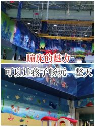 -爱丽丝奇幻乐园