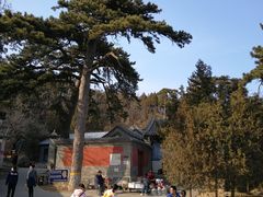 -阳台山自然风景区