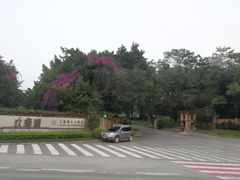 -中旅阿那亚九龙湖·公主酒店