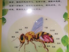 -上海昆虫博物馆