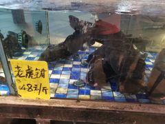 水产区-老伙记海鲜码头(北滘店)