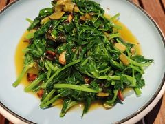 豌豆尖-熙楼(翠湖店)