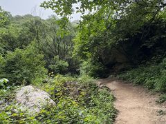 -抱龙峪