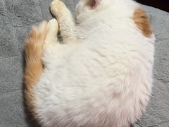 -美迦爱-牙专科·兔科·骨科诊疗中心(北苑店)