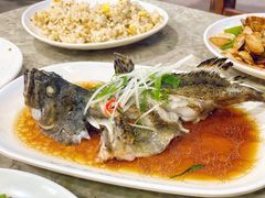 石斑鱼清蒸-四川小胡子海鲜(丁村万人海鲜广场店)