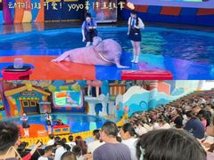 -海合安武汉极地海洋公园