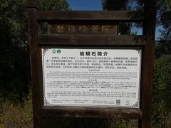 -磬锤峰森林公园