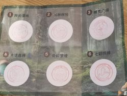 -未来动物城动物主题公园(大悦城店)
