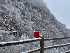 -少华山国家森林公园