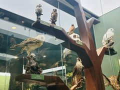 -国家自然博物馆