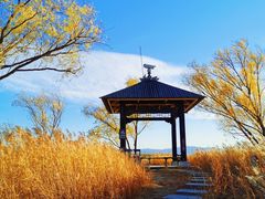 -野鸭湖国家湿地公园