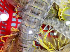 -渔民新村(番禺总店)