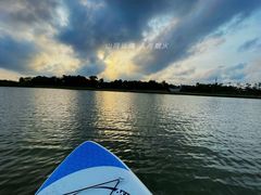 -春花秋色城市公园