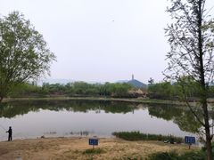 -北坞公园