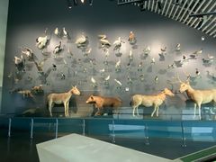 -中国湿地博物馆