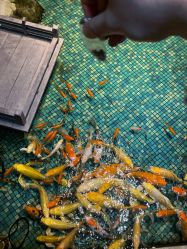 -酷嗒动物文化乐园(cutezoo西溪乐天城店)