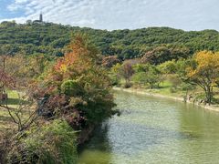 -苏州上方山国家森林公园