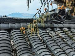 -西江千户苗寨