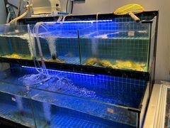 -老地方海鲜坊(步行街店)