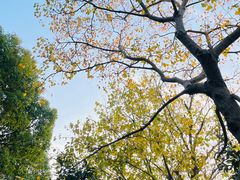 -上海吴淞炮台湾国家湿地公园
