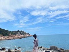 -广东惠东海龟国家级自然保护区