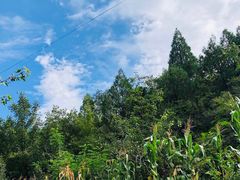 -蟠龙山长城景区